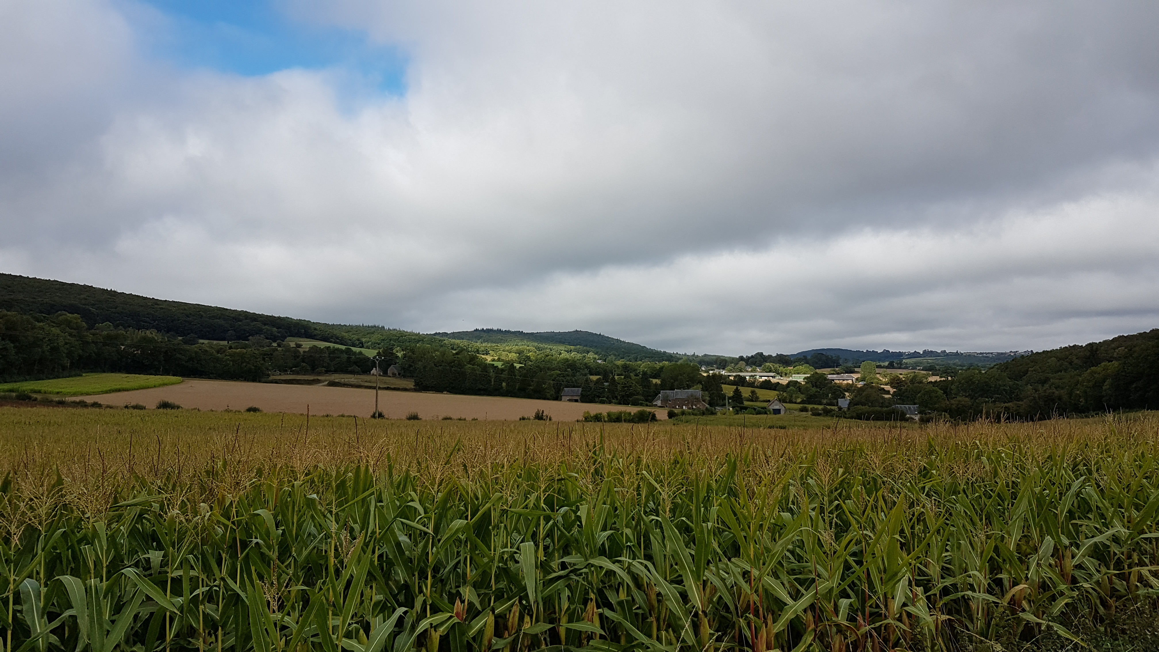 vue d'un champ