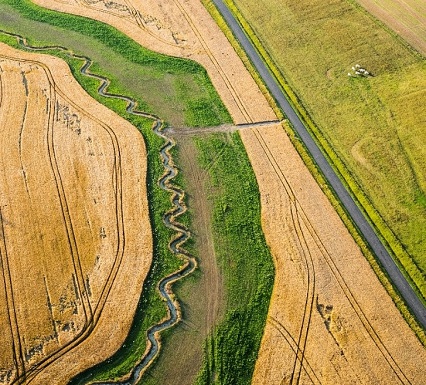 champs  avec une rivière 