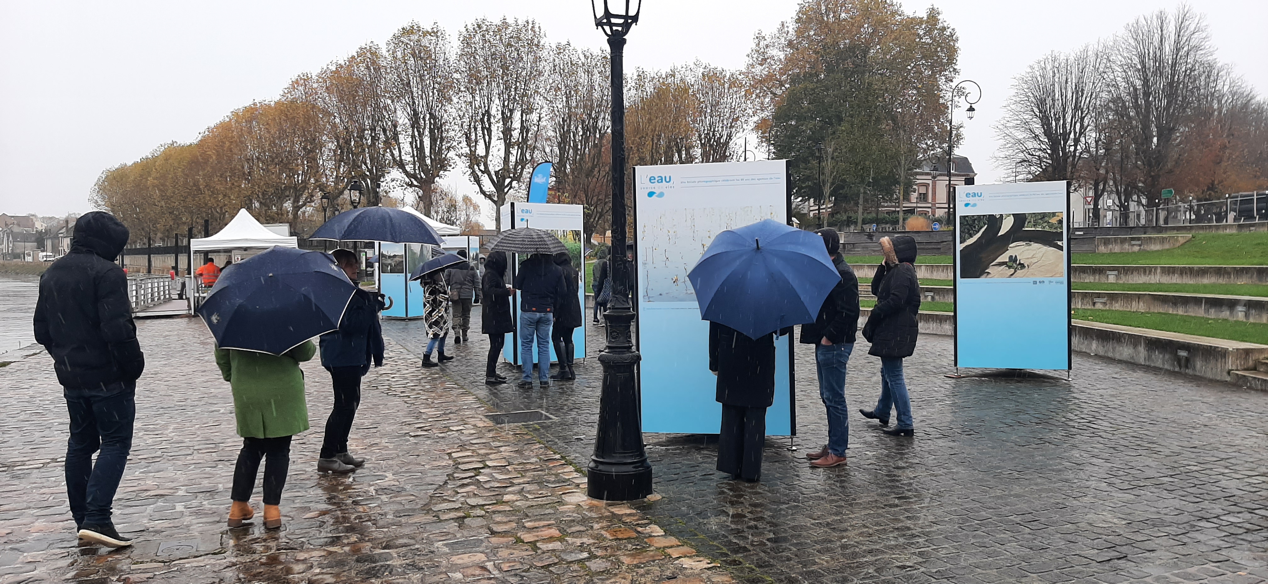 personnes avec des parapluies