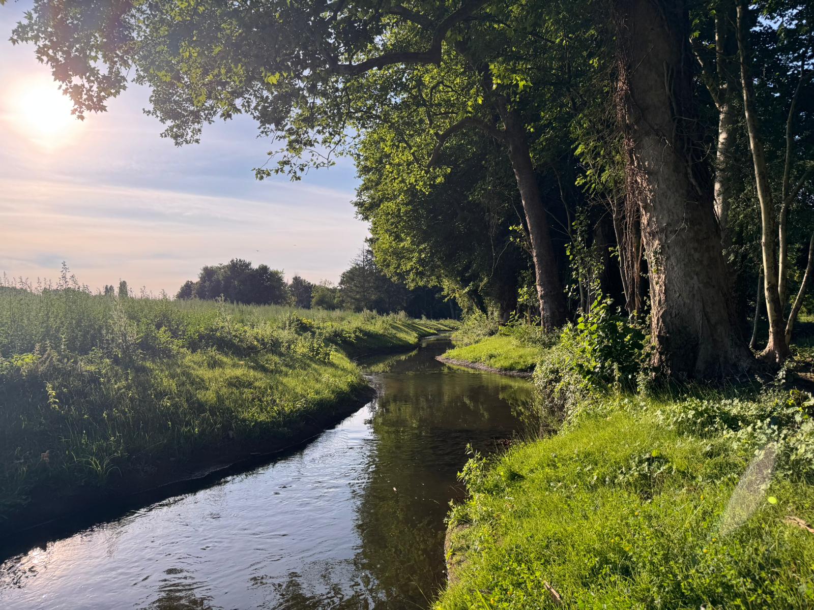 bievre
