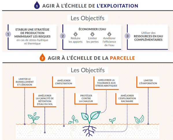 infographie agriculture