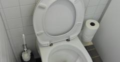 toilette à séparation d'urine 